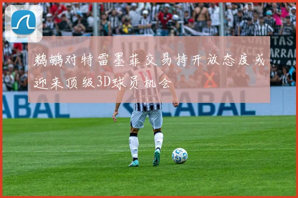 鹈鹕对特雷墨菲交易持开放态度或迎来顶级3D球员机会